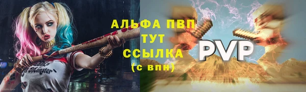 прущая мука Вяземский