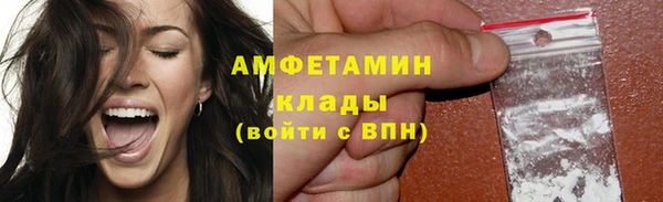 прущая мука Вяземский