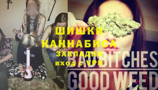 стаф Вязьма