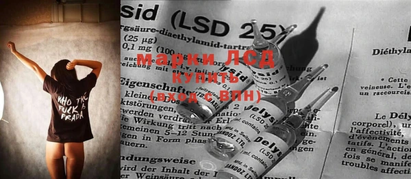 стаф Вязьма