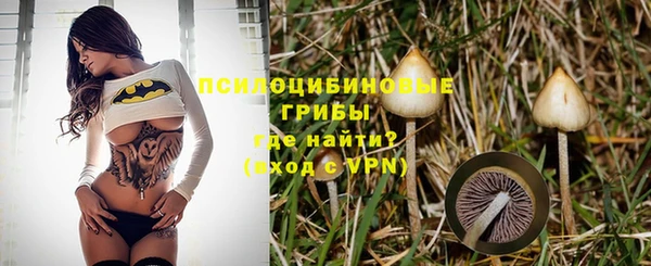 прущая мука Вяземский