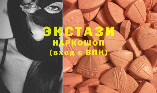 стаф Вязьма