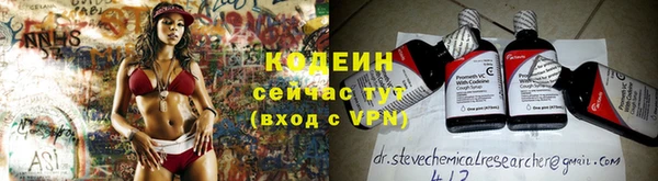 прущая мука Вяземский
