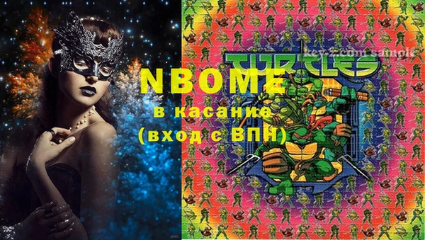 стаф Вязьма