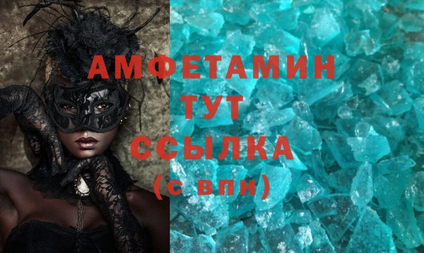 стаф Вязьма