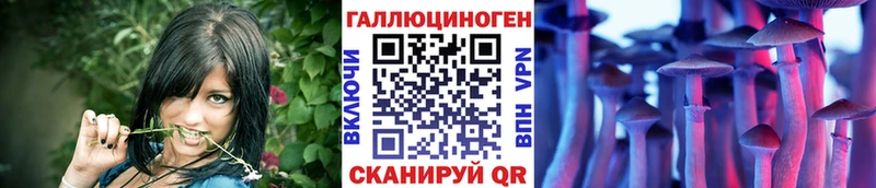 Галлюциногенные грибы ЛСД  купить закладку  Дзержинск 